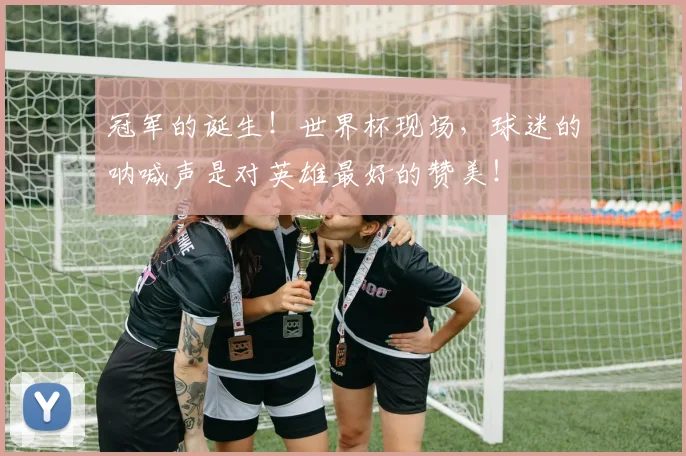 冠军的诞生！世界杯现场，球迷的呐喊声是对英雄最好的赞美！